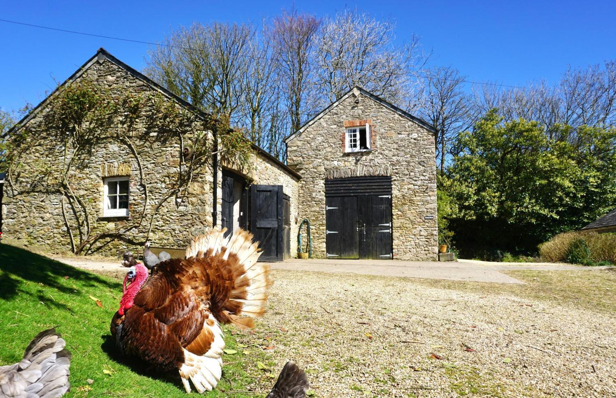 Beachborough Country House Barnstaple Exterior foto